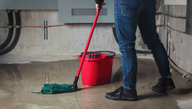 Best Emergency water damage restoration  in Gladstone, MI