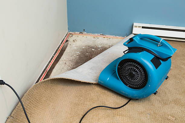 Best Commercial water damage restoration  in Gladstone, MI